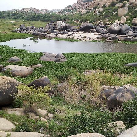 Riverside Homestay Хампи Экстерьер фото