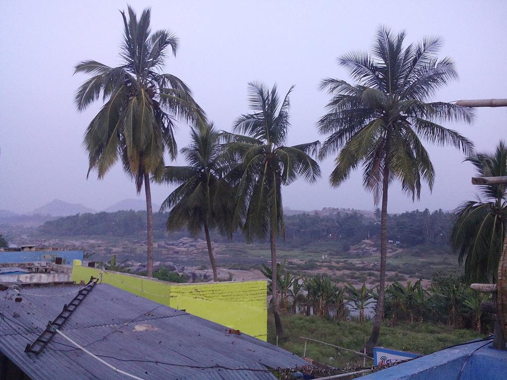 Riverside Homestay Хампи Экстерьер фото