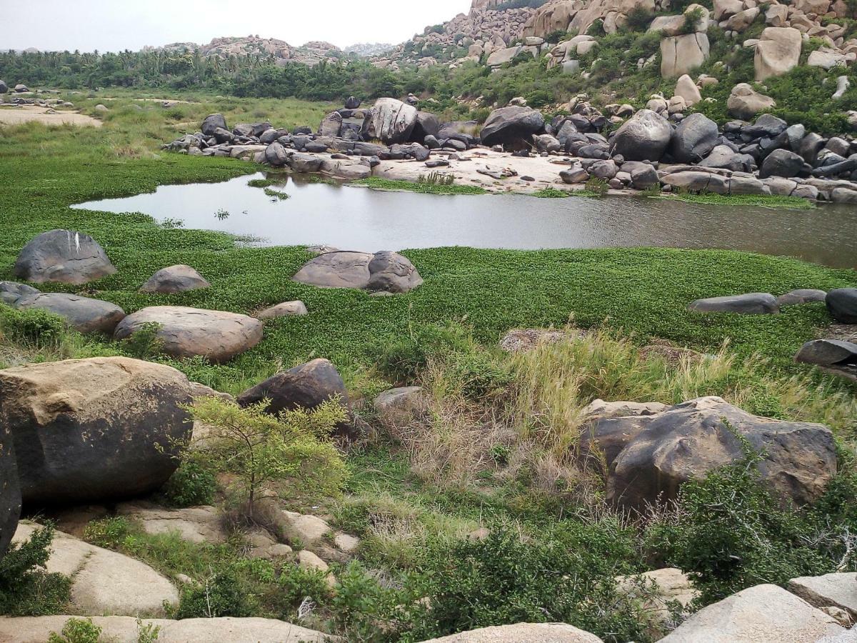 Riverside Homestay Хампи Экстерьер фото